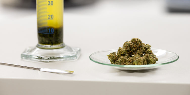 Foto Medizinal Cannabis - Cannabisblüten